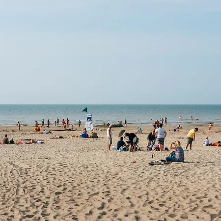 In Near Beaches